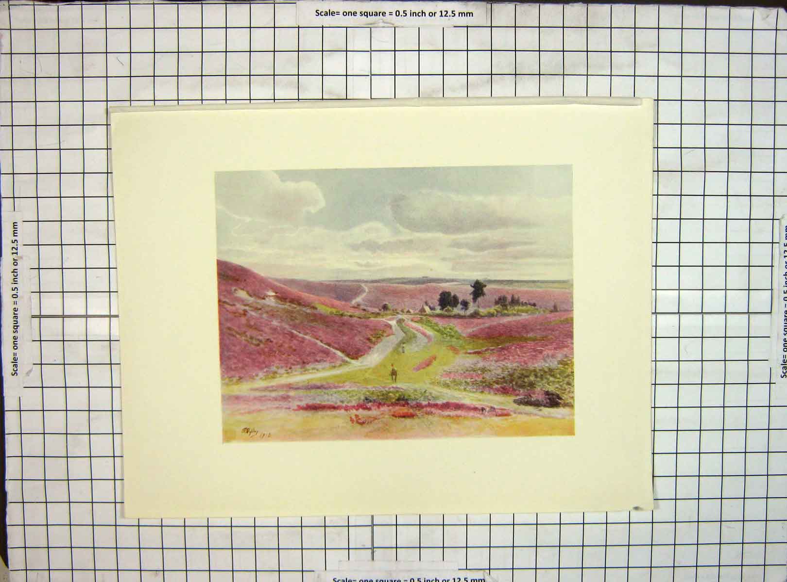 Original Old Antique Print 1912 Landscape View Moorland Frensham Heather Colour