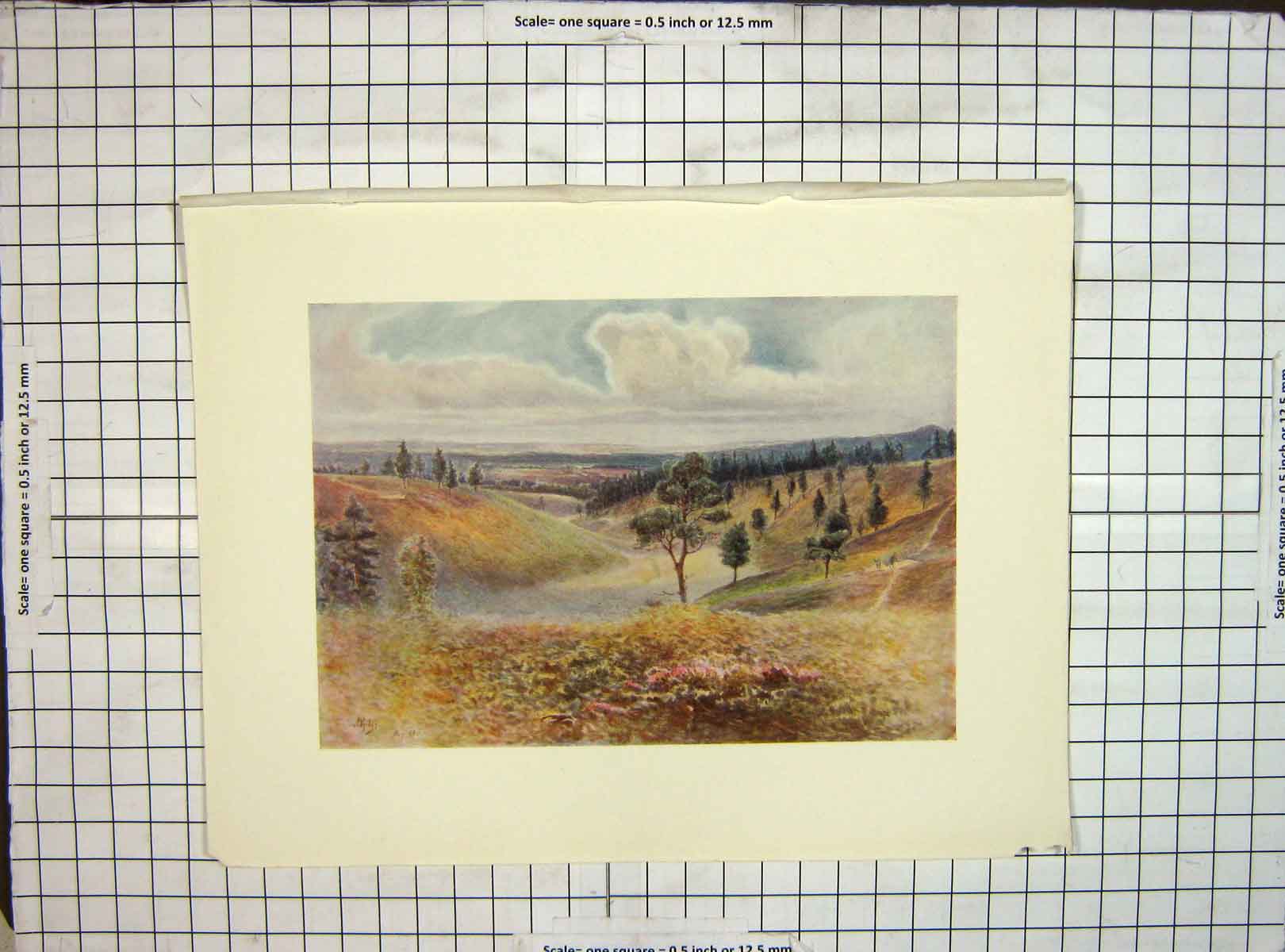 Original Old Vintage Print C1930 View Beacon Hill Hindhead Trees Landscape 20th