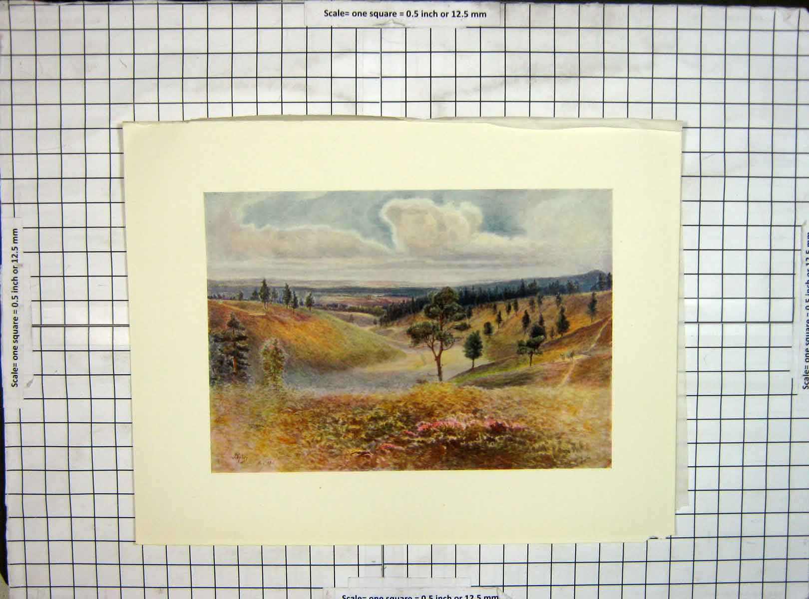 Original Old Vintage Print C1930 Landscape View Beacon Hill Hindhead Colour