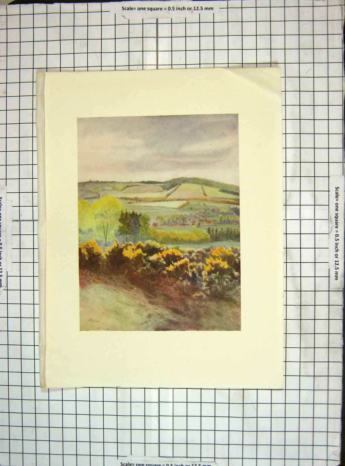 Original Old Antique Print 1913 Landscape View Towards Caterham Tilburstow Hill