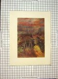 Original Old Vintage Print C1930 Colour River View Silent Pool Trees 20th