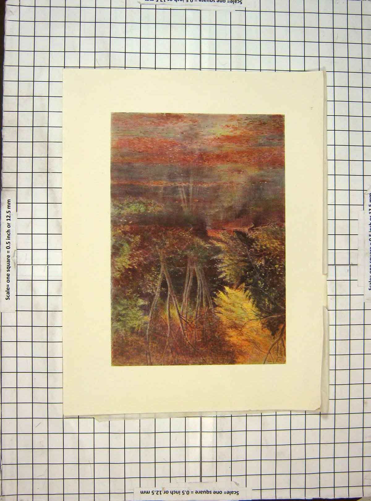 Original Old Vintage Print C1930 Colour River View Silent Pool Trees 20th