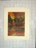 Original Old Vintage Print C1930 Colour View Silent Pool River Trees 20th