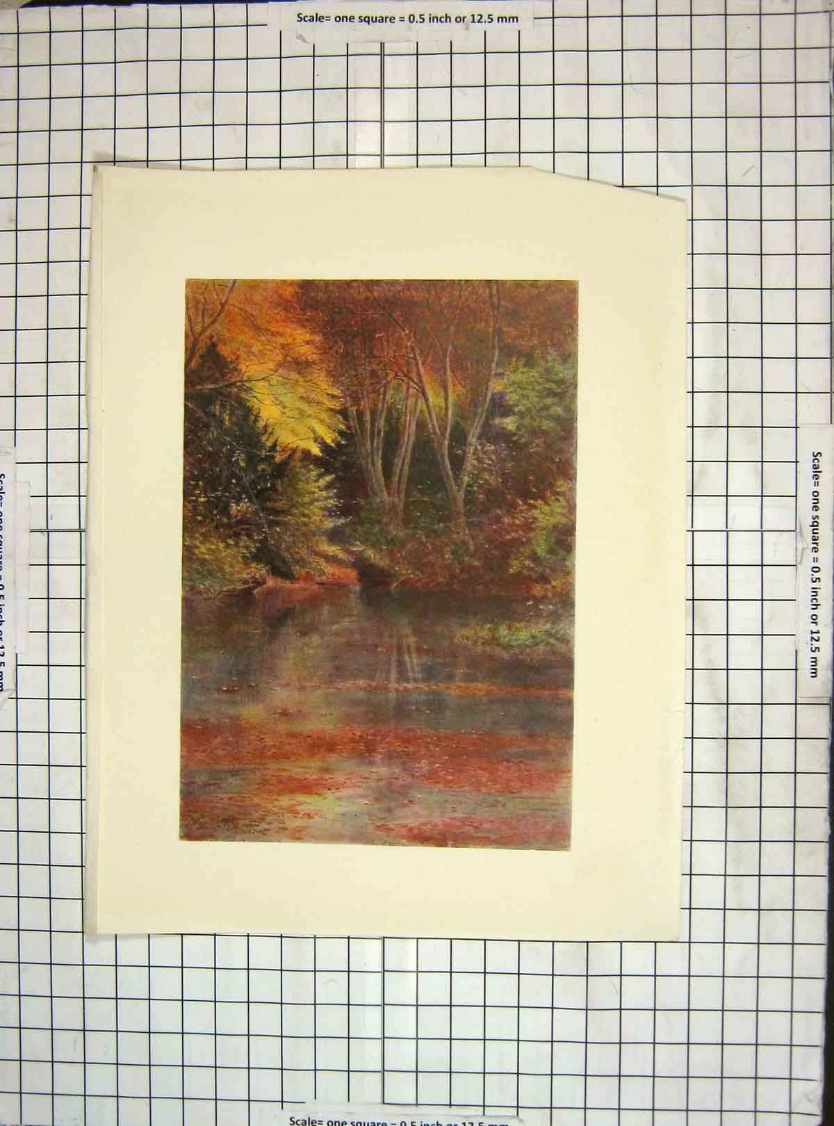 Original Old Vintage Print C1930 Colour View Silent Pool River Trees 20th