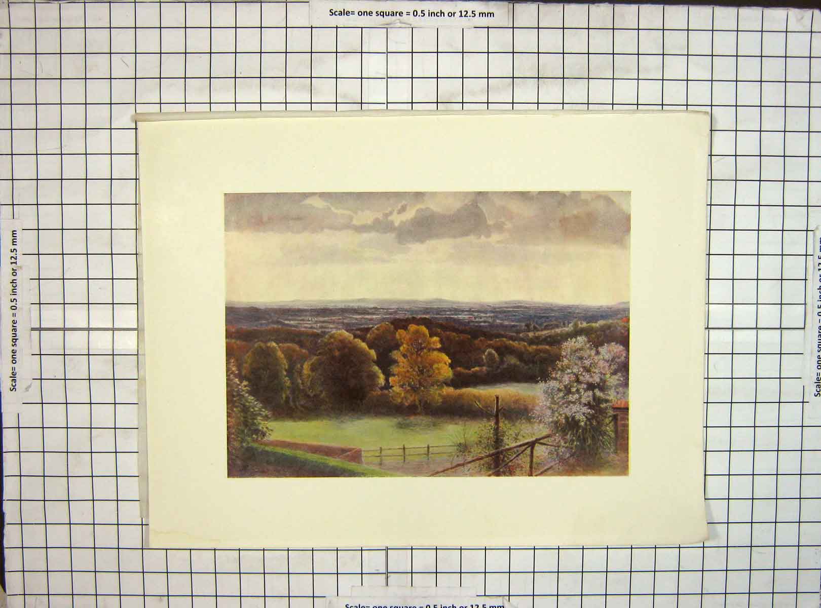Original Old Vintage Print C1930 Landscape View Coneyhurst Ewehurst Colour 20th