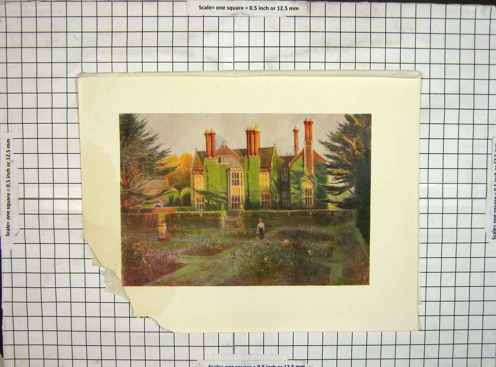 Original Old Vintage Print C1930 Damaged View Baynards Rose Garden Flowers 20th