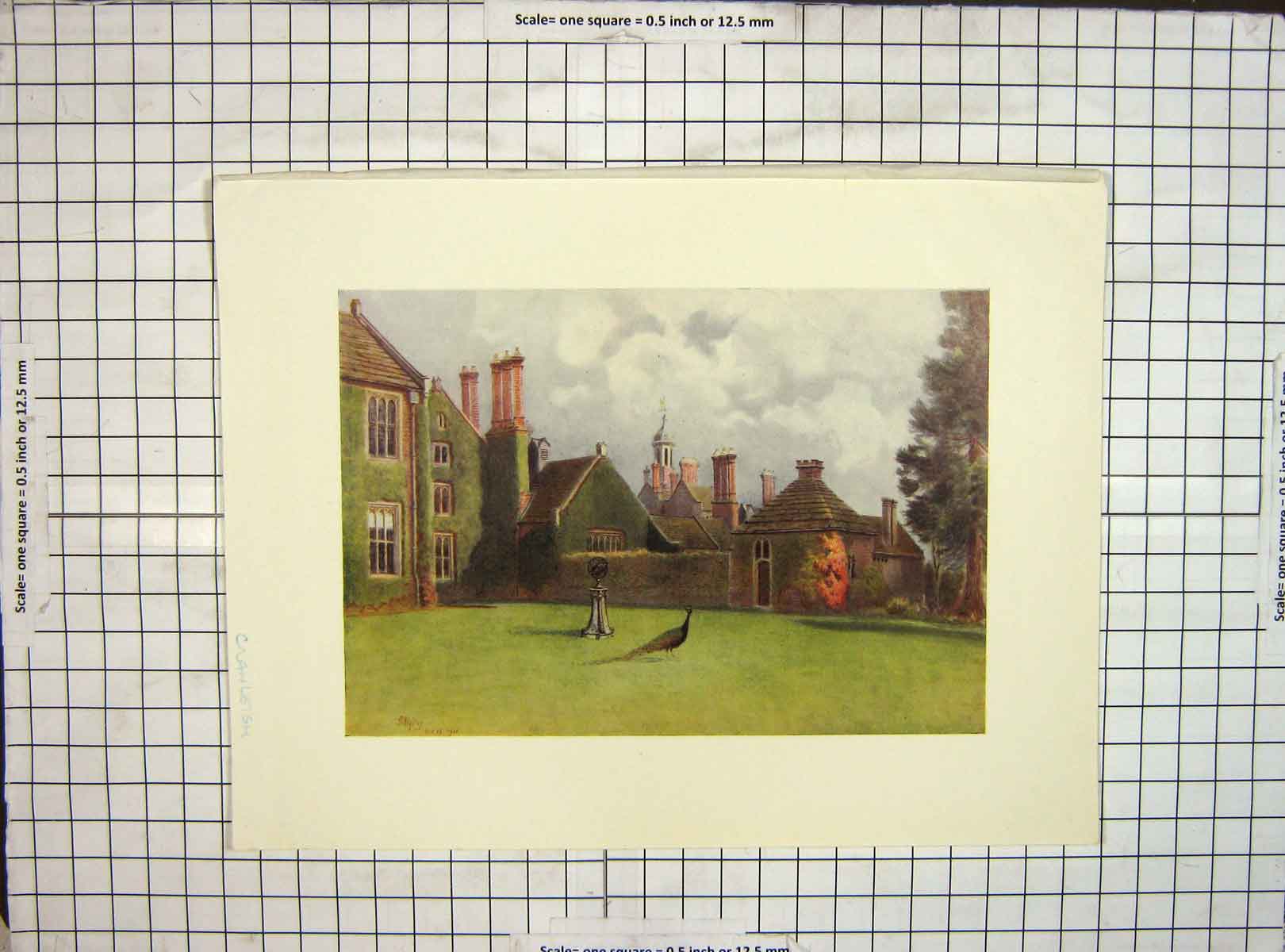 Original Old Antique Print 1911 Baynards South Terrace Cranleigh Colour 20th