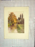 Original Old Antique Print 1912 View River Wandle Trees Colour 20th Century