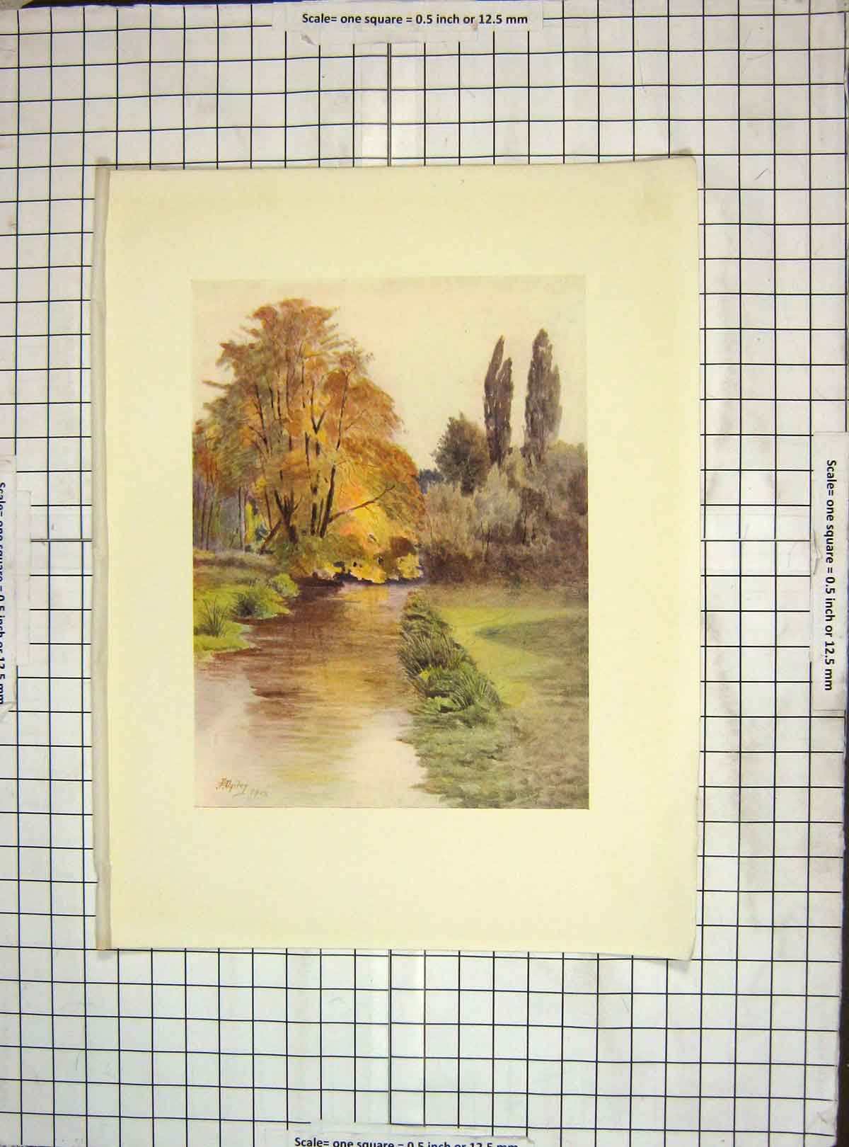 Original Old Antique Print 1912 View River Wandle Trees Colour 20th Century
