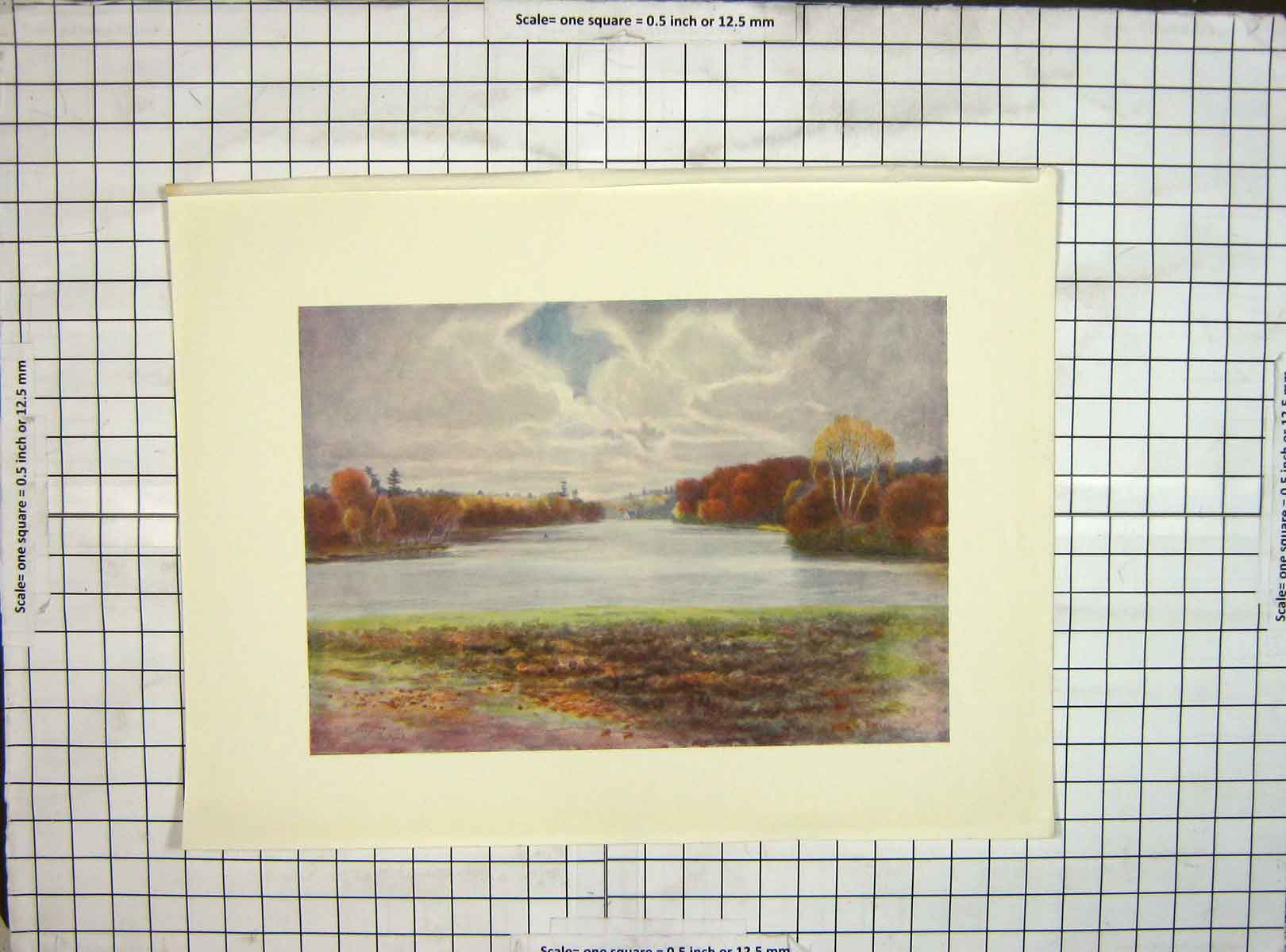 Original Old Vintage Print C1930 View Virginia Water River Landscape Colour