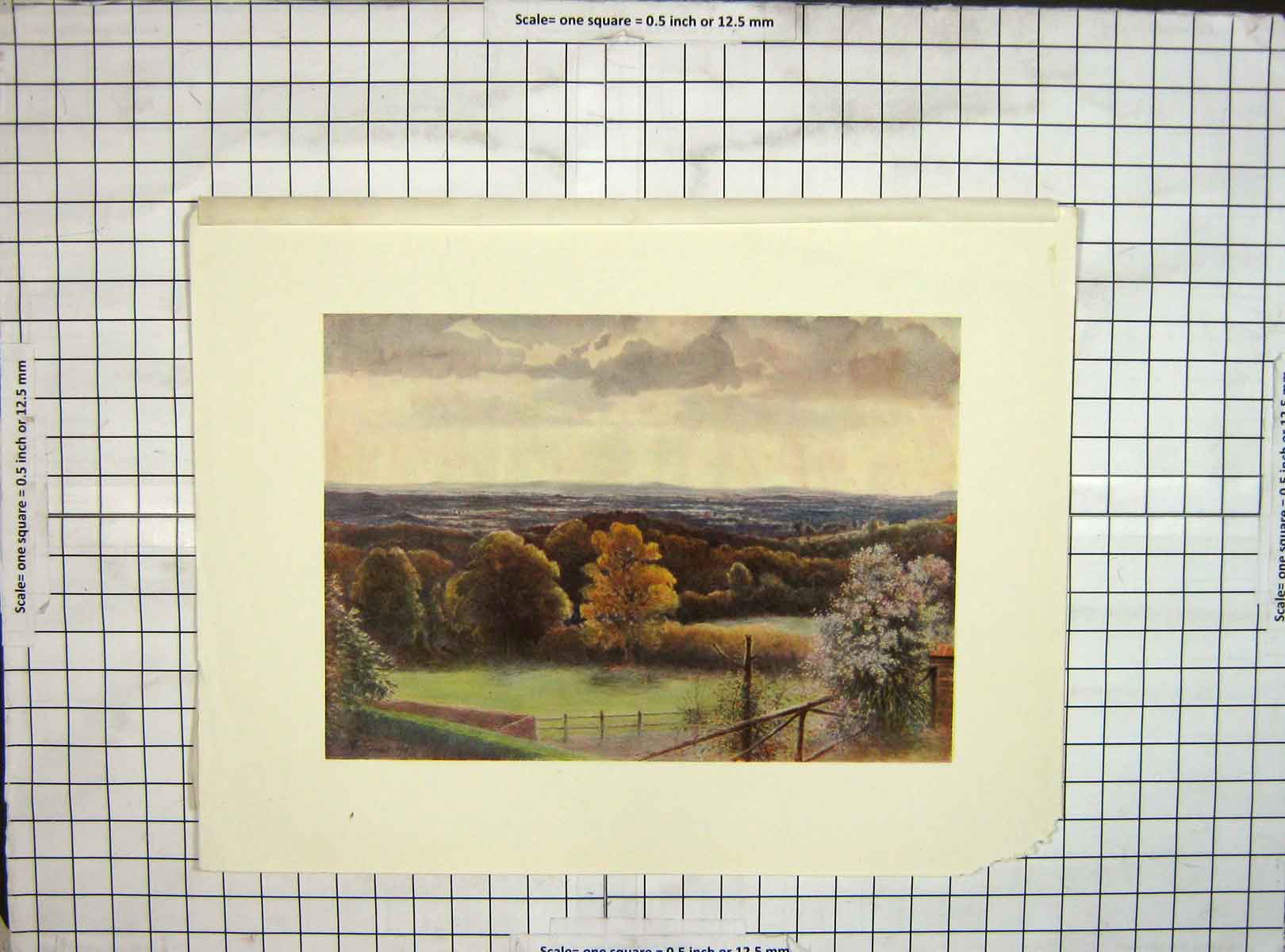 Original Old Vintage Print C1930 Landscape View Coneyhurst Hill Ewehurst Colour