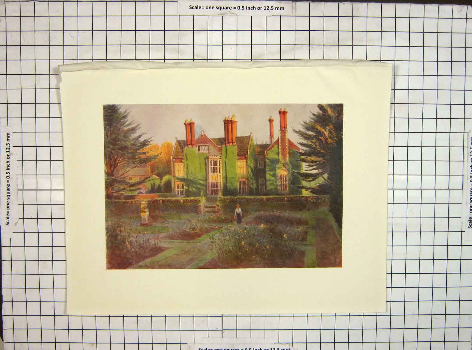Old Vintage Print C1930 Mansion House View Baynards Rose Garden Flowers 20th