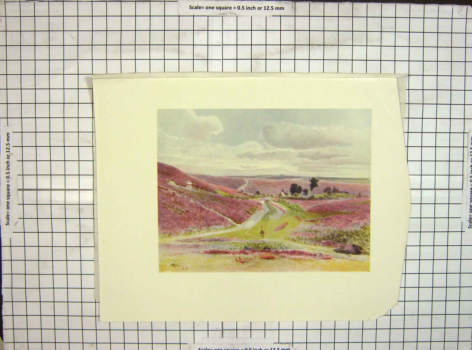 Original Old Antique Print 1912 Damaged View Moorland Frensham Landscape 20th