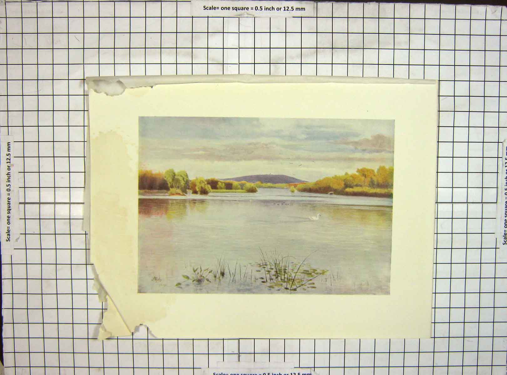 Original Old Vintage Print C1930 Damaged Colour View Vachery Pond Hills 20th