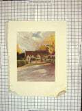 Original Old Vintage Print C1930 Colour Thorpe Church Trees Architecture 20th