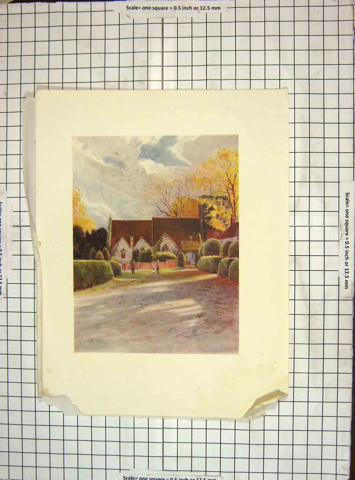Original Old Vintage Print C1930 Colour Thorpe Church Trees Architecture 20th