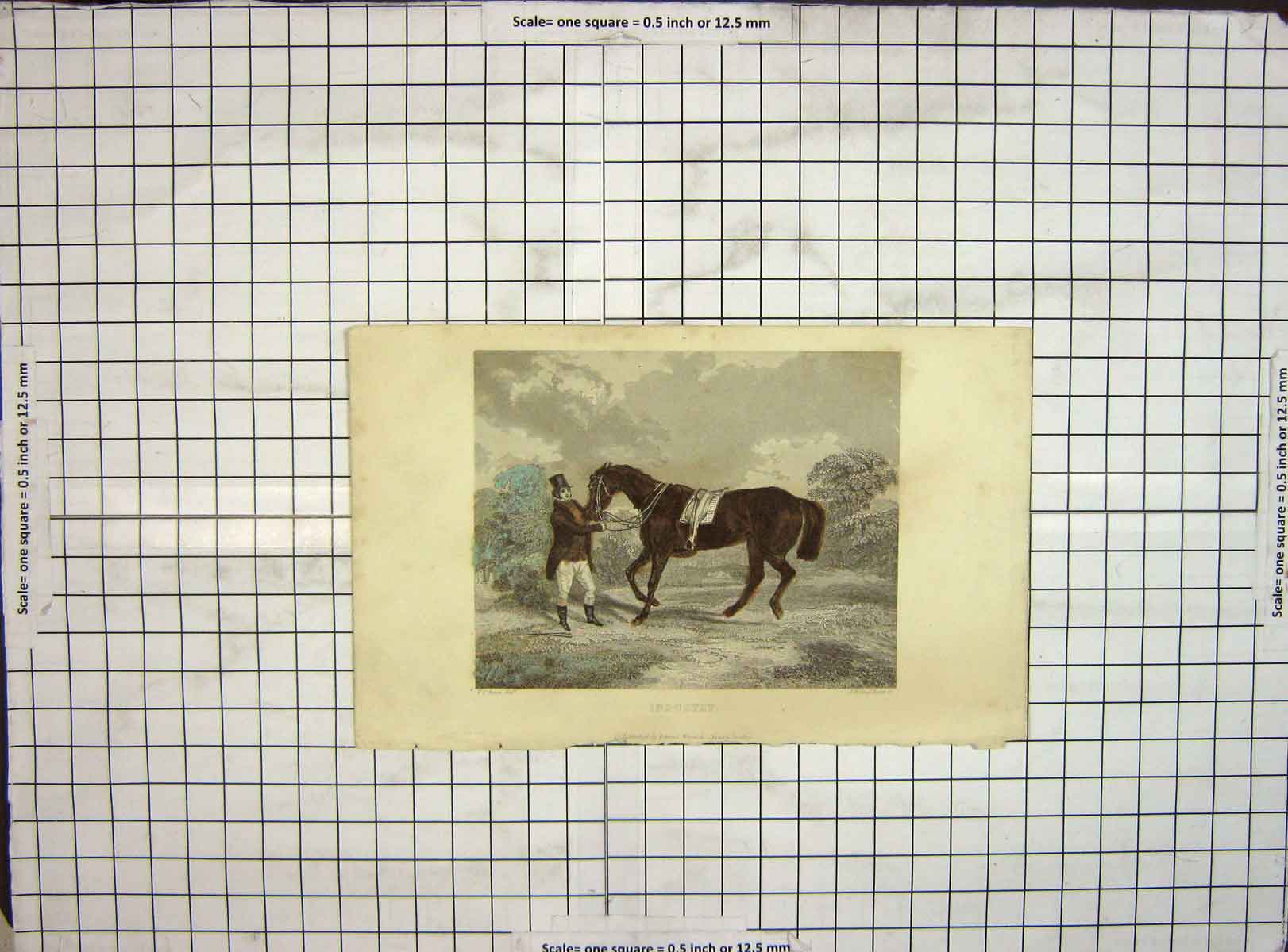 Original Old Antique Print Hand Coloured Industry Man Horse Engleheart
