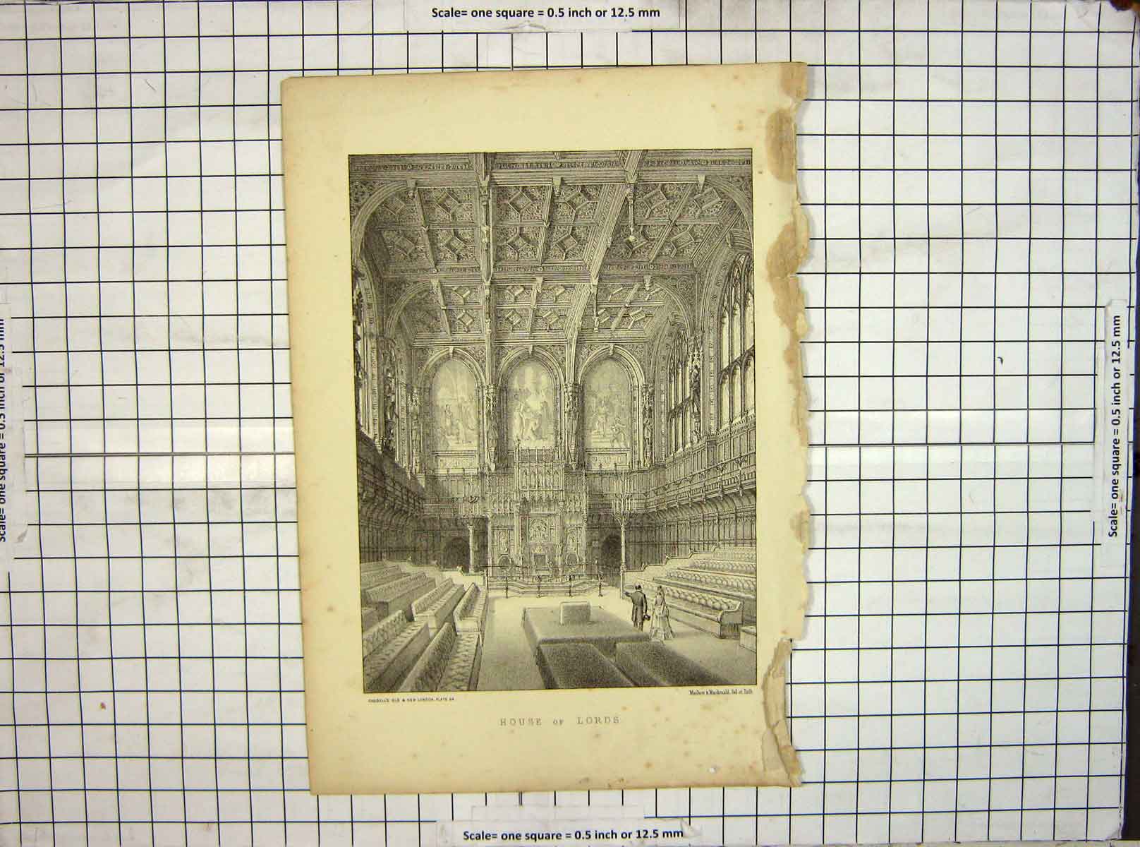 Original Old Antique Print Interior House Lords London Parliament Architecture