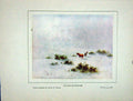 Original Old Vintage Print 1930 Lorna Doone Winter Scene Exmoor Ponies Brittan
