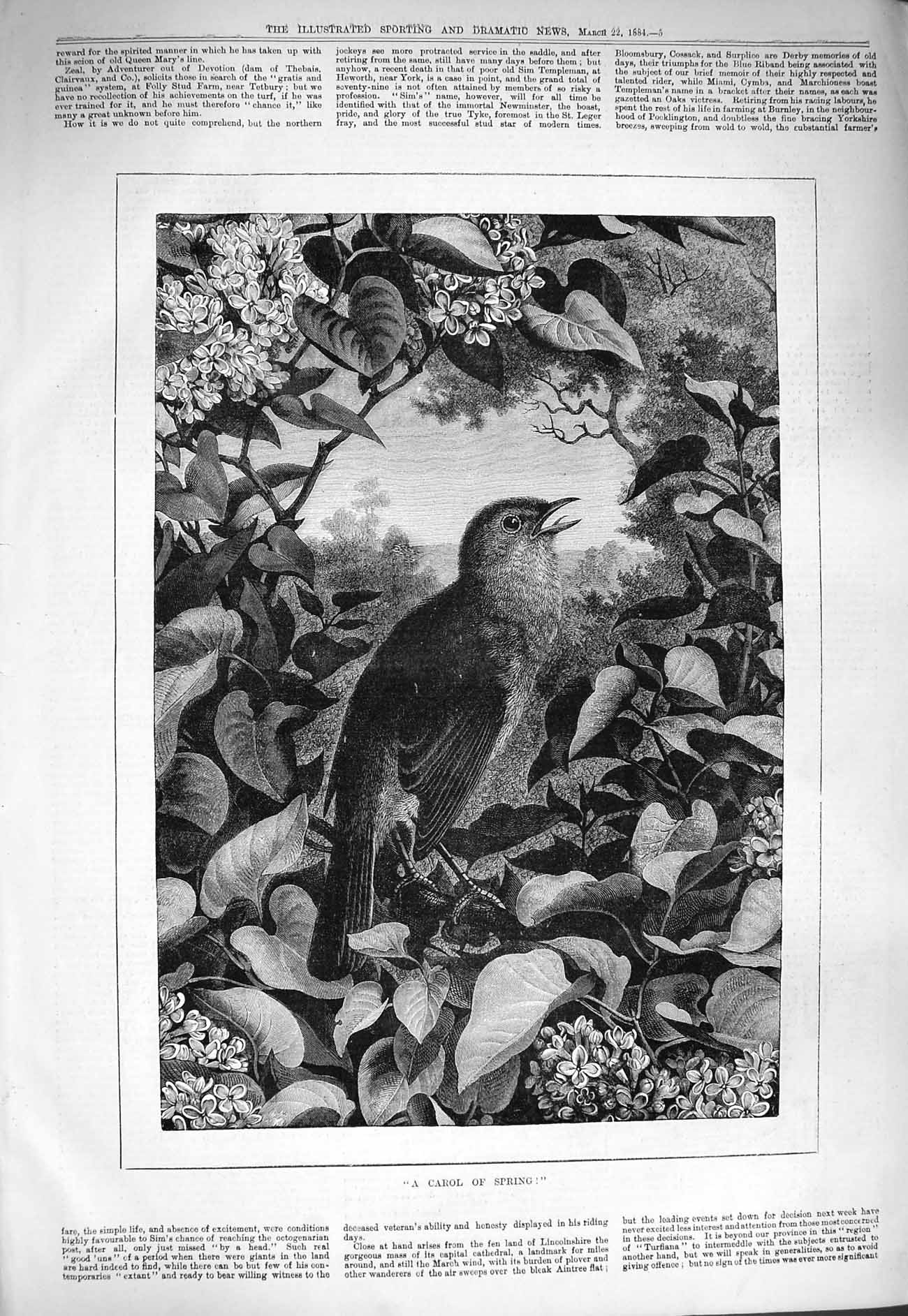 Original Old Antique Print 1884 Fine Art Carol Spring Bird Trees Flowers 19th