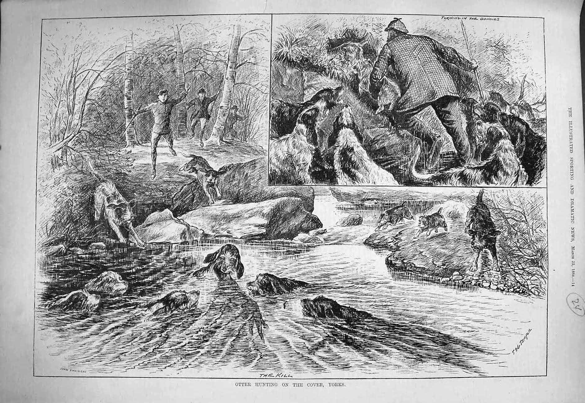 Old Antique Print 1884 Otter Hunting Cover Yorkshire Dogs River Danoies 19th