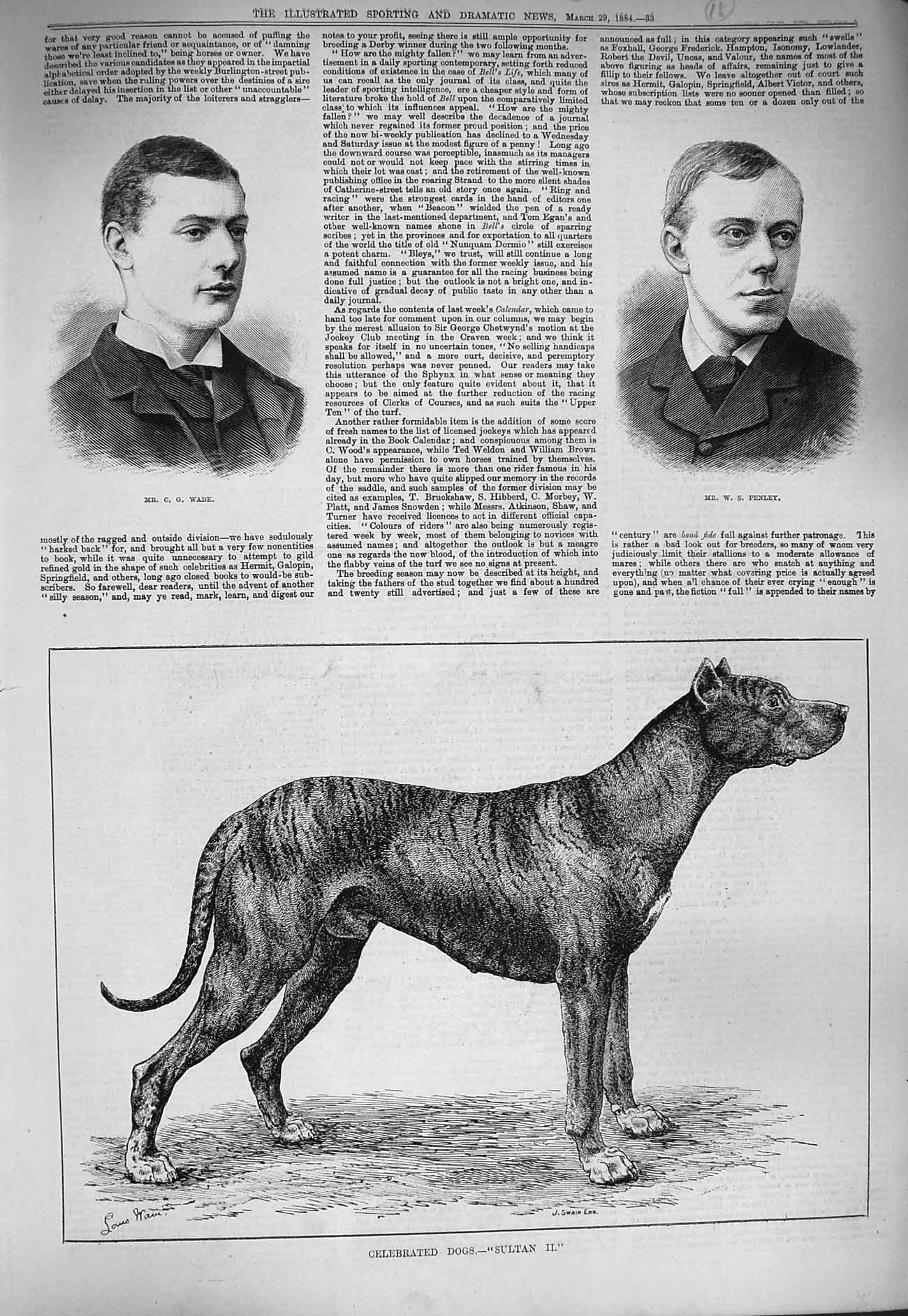 Original Old Antique Print 1884 Dog Sultan Portrait Wade Penley 19th