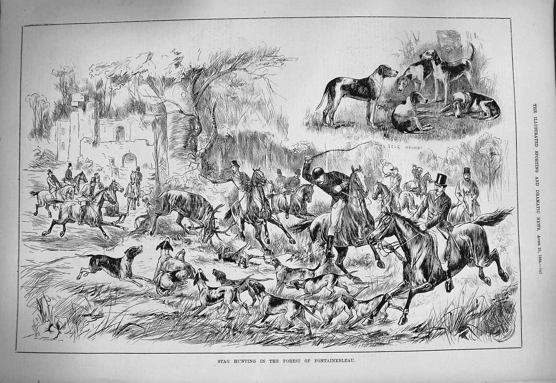 Original Old Antique Print 1884 Stag Hunting Forest Fontainebleau Horses Hounds
