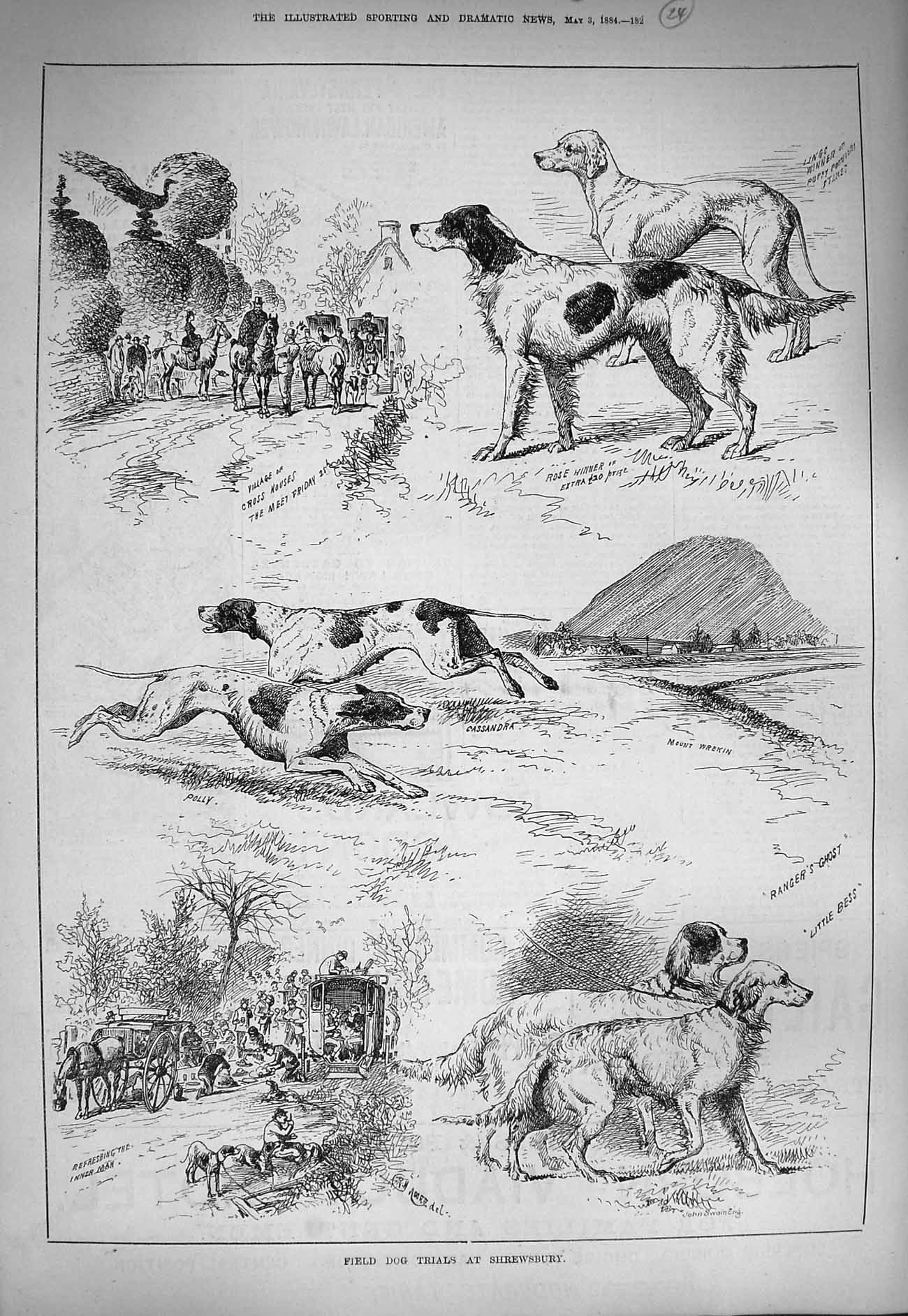 Original Old Antique Print 1884 Field Dog Trials Shrewsbury Rose Village Houses