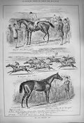 Original Old Antique Print 1884 Two Thousand Day Horse Racing Sport Jockeys