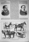 Original Old Antique Print 1884 Arthur Oswald Paravicini May Horse Newcastle