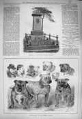 Original Old Antique Print 1884 Memorial Benjamin Webster Bulldog Show Crystal