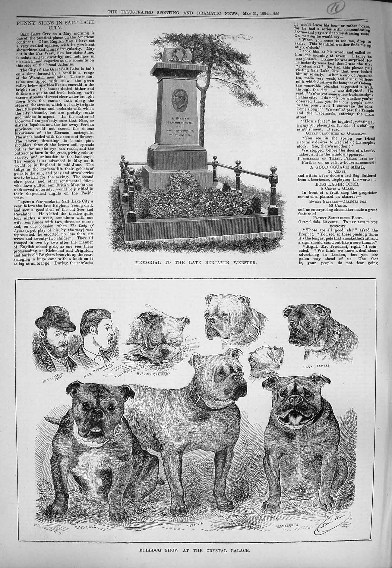 Original Old Antique Print 1884 Memorial Benjamin Webster Bulldog Show Crystal