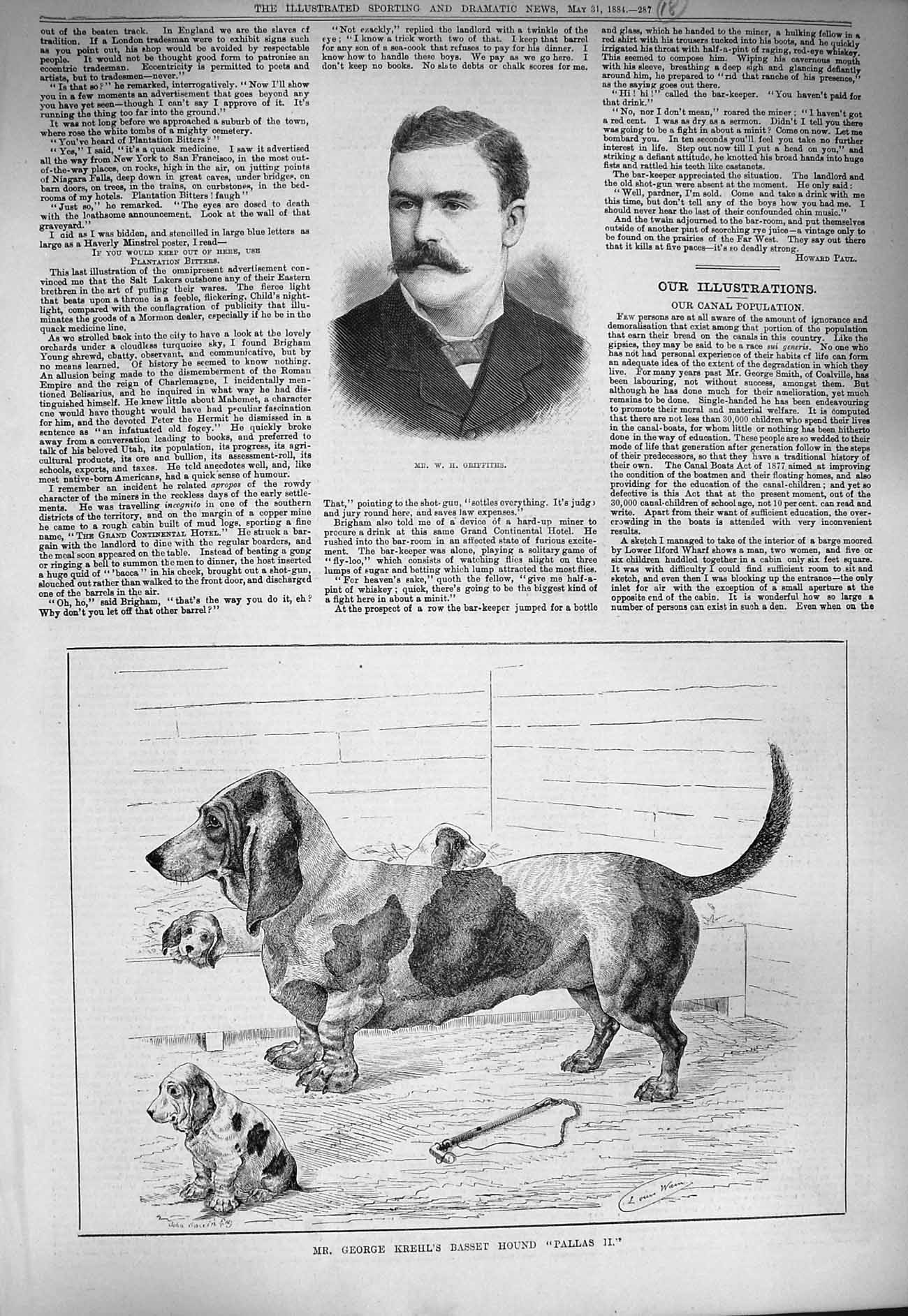 Original Old Antique Print 1884 Griffiths George Krehl Basset Hound Dog Pallas