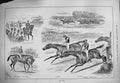 Old Antique Print 1884 Oaks Horse Racing Superba Busybody Queen Adelaide 19th