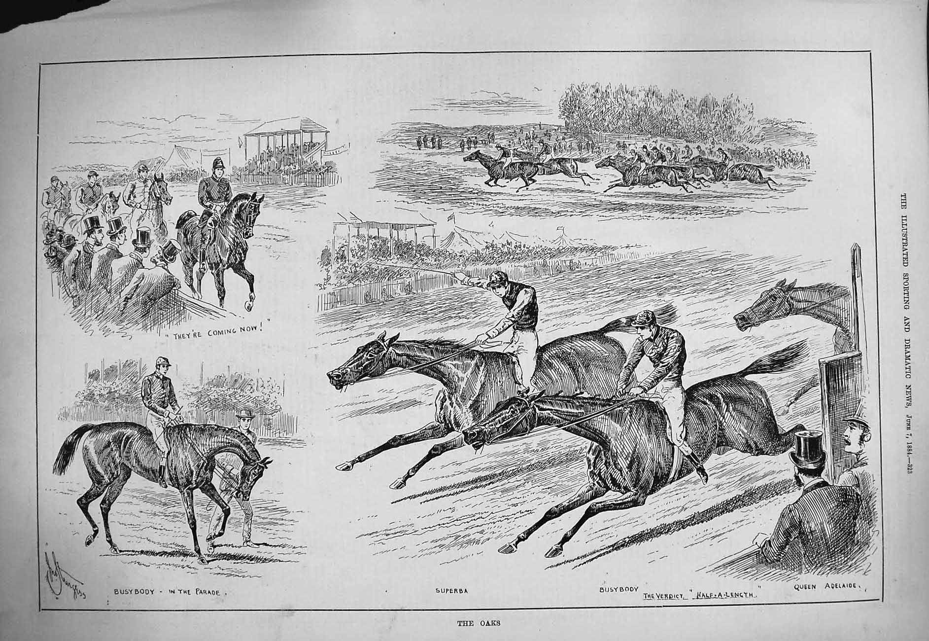 Old Antique Print 1884 Oaks Horse Racing Superba Busybody Queen Adelaide 19th