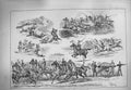 Original Old Antique Print 1884 Royal Military Tournament Agricultural Hall