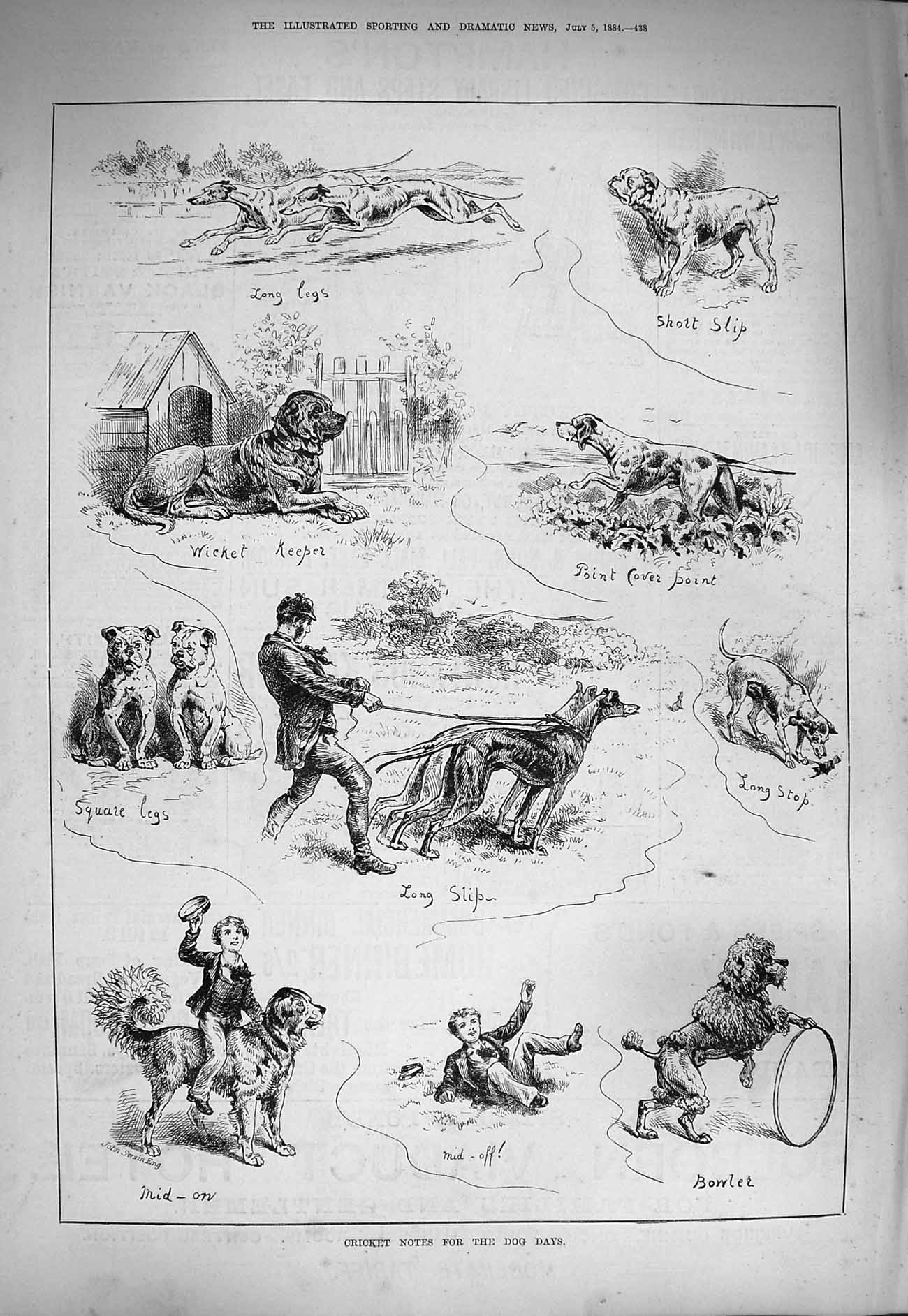 Original Old Antique Print 1884 Cricket Dog Days Pointer St. Bernard Victorian