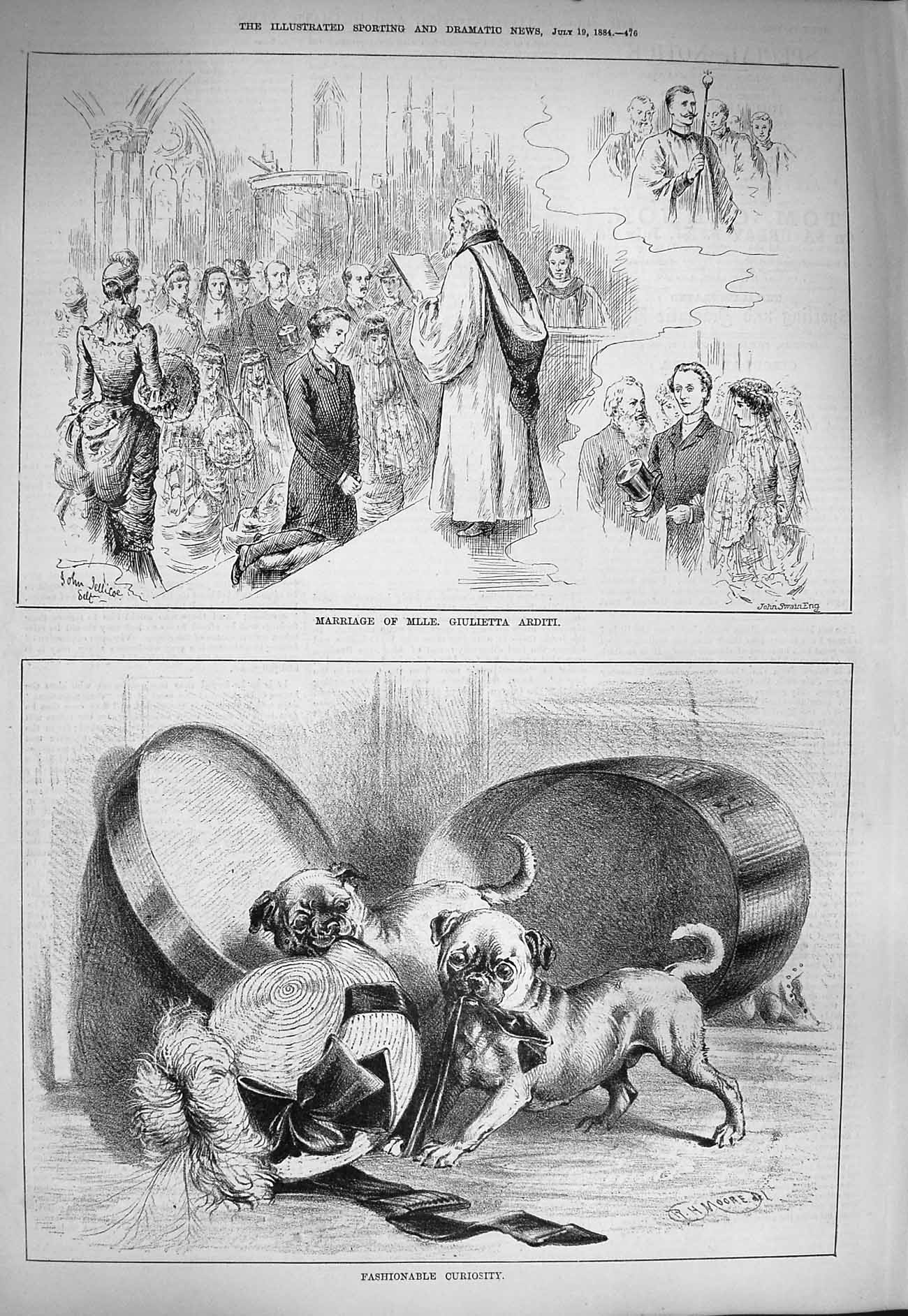 Original Old Antique Print 1884 Marriage Giulietta Arditi Dogs Hat Box Mischief