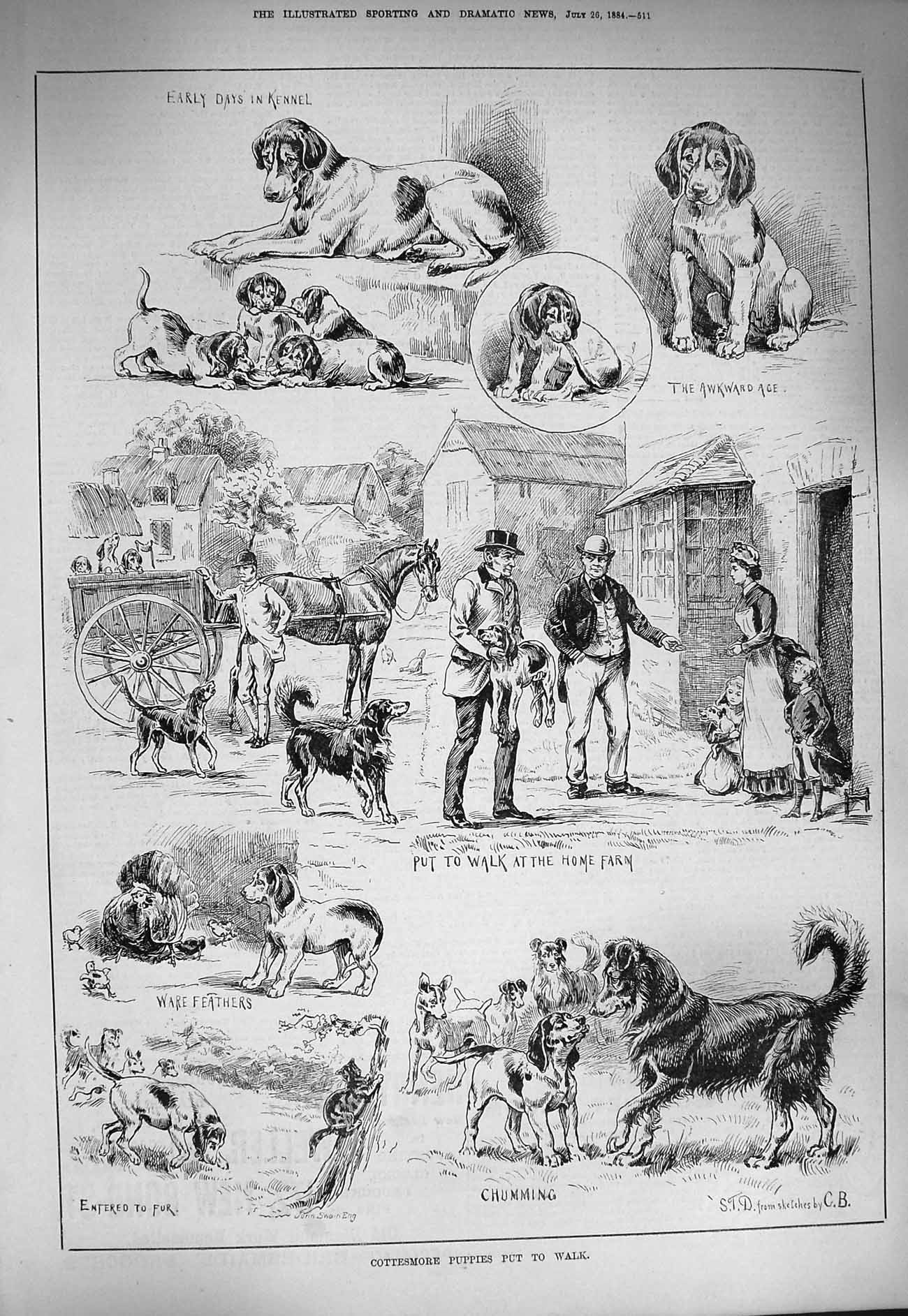 Original Old Antique Print 1884 Cottesmore Puppies Dog Men House Hors Cart 19th