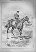 Original Old Antique Print 1884 Confined Walking Exercise Horse Hunting Sport