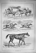Original Old Antique Print 1884 Goodwood Horse Racing St. Simon Jockeys Sport