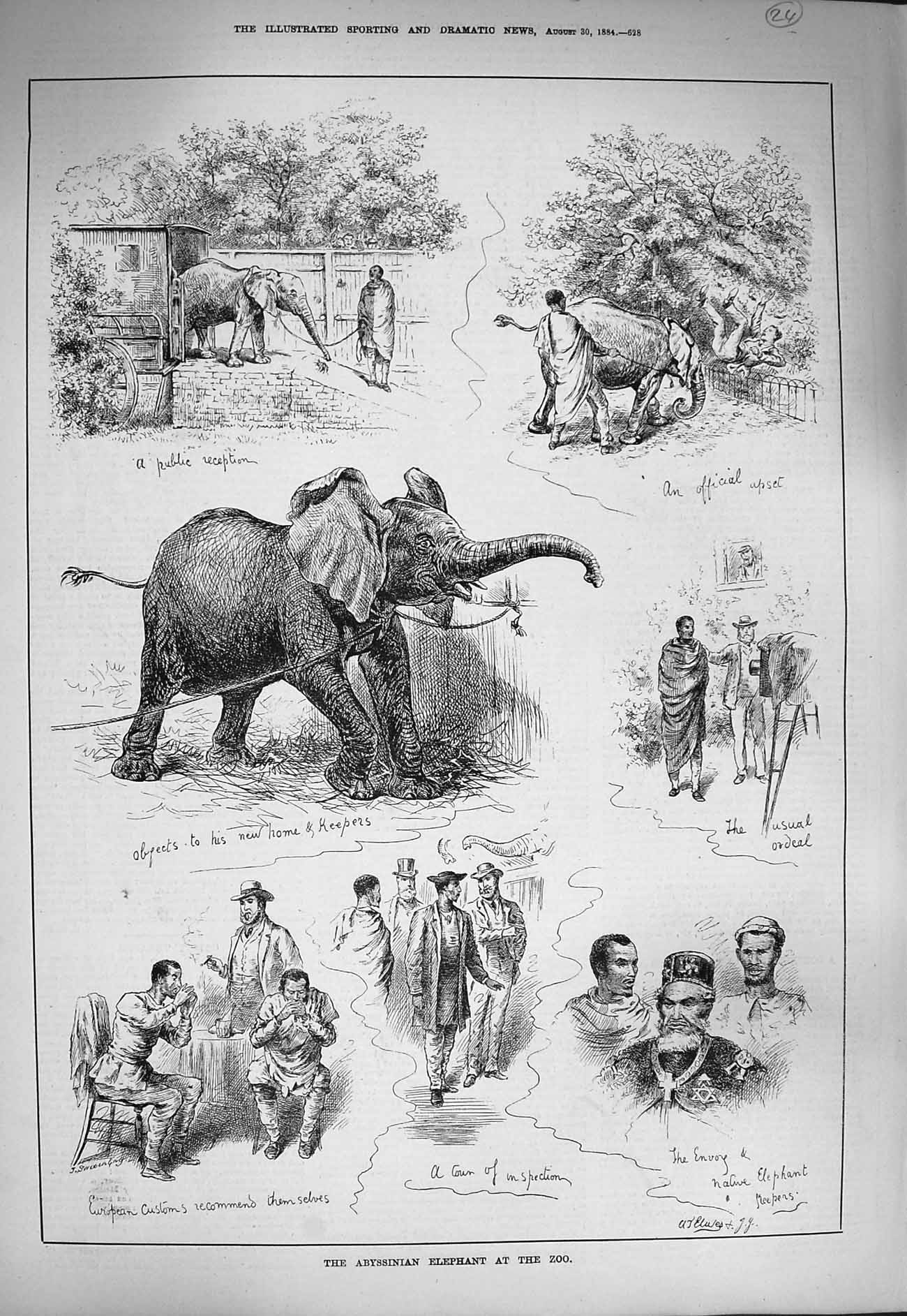 Original Old Antique Print 1884 Abyssinian Elephant Zoo Native Keepers Animals