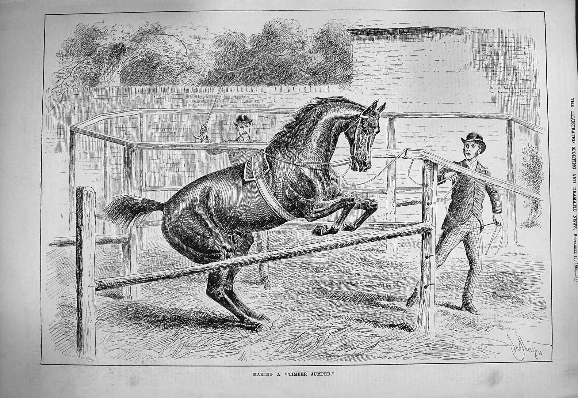 Original Old Antique Print 1884 Horse Training Making Timber Jumper Victorian