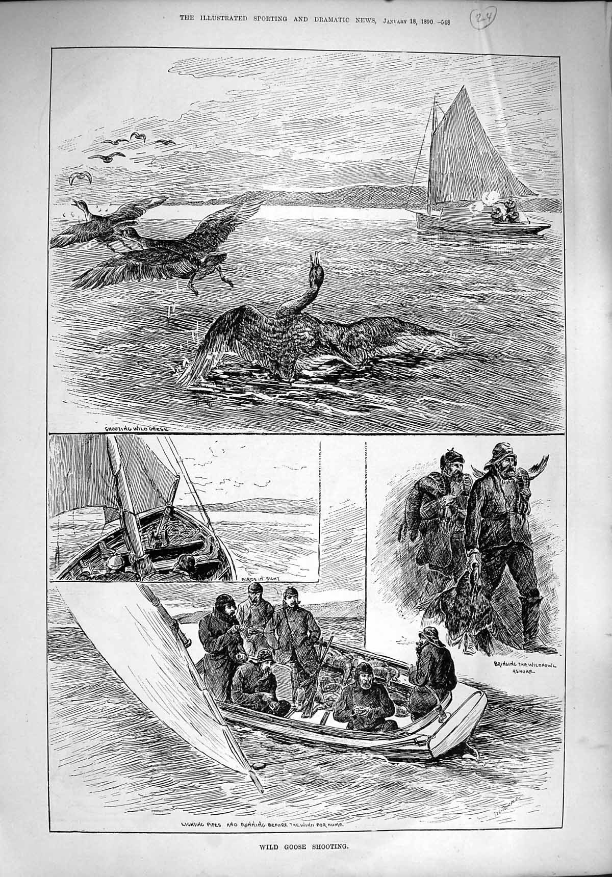 Original Old Antique Print 1890 Wild Goose Shooting Hunting Boats Birds Sea