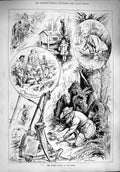 Original Old Antique Print 1890 Rabbit Supply Trapping Hunting Market Ferrets