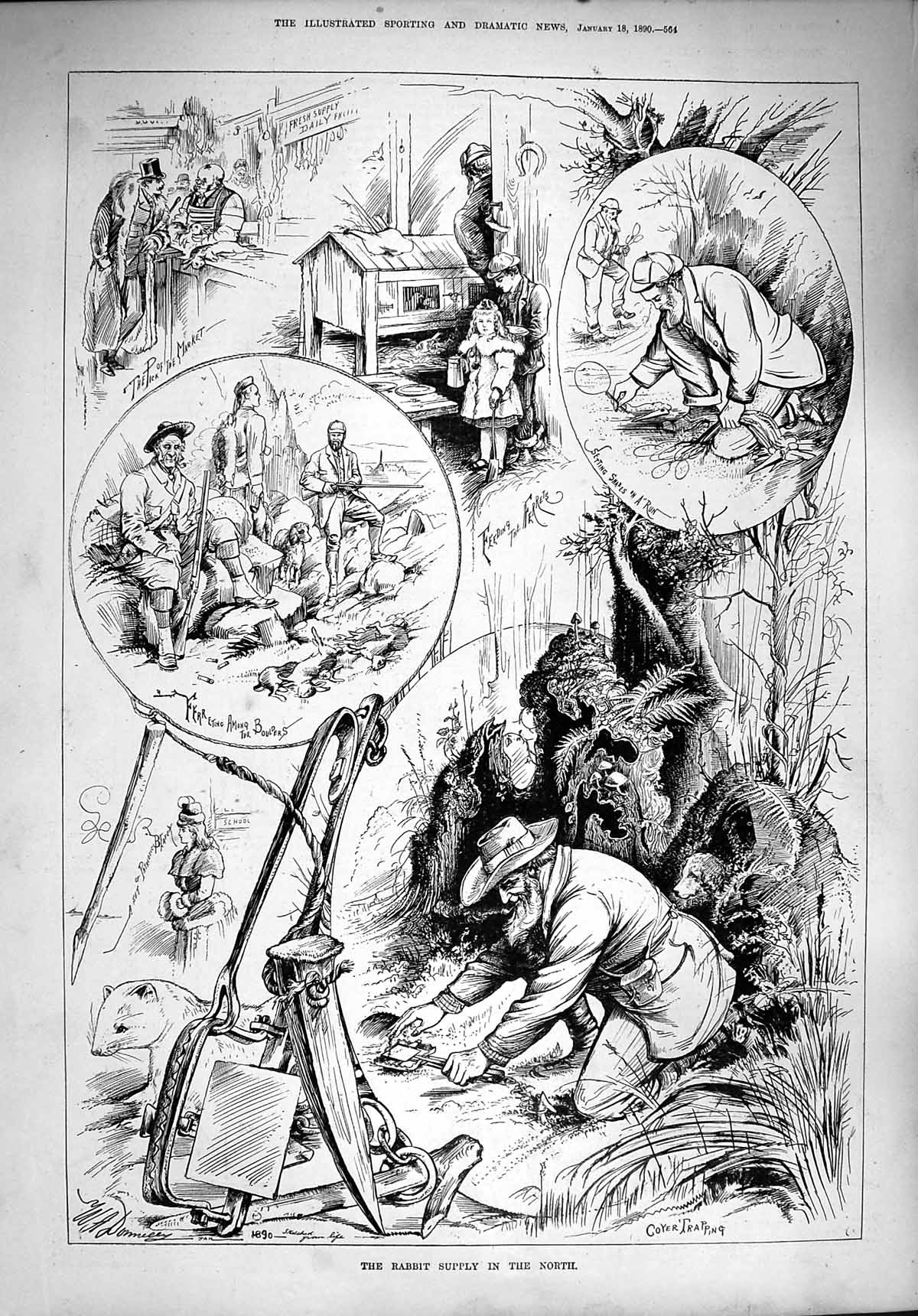 Original Old Antique Print 1890 Rabbit Supply Trapping Hunting Market Ferrets