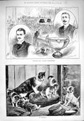 Original Old Antique Print 1890 Billiards Championship Kitten Cat Puppy Dog