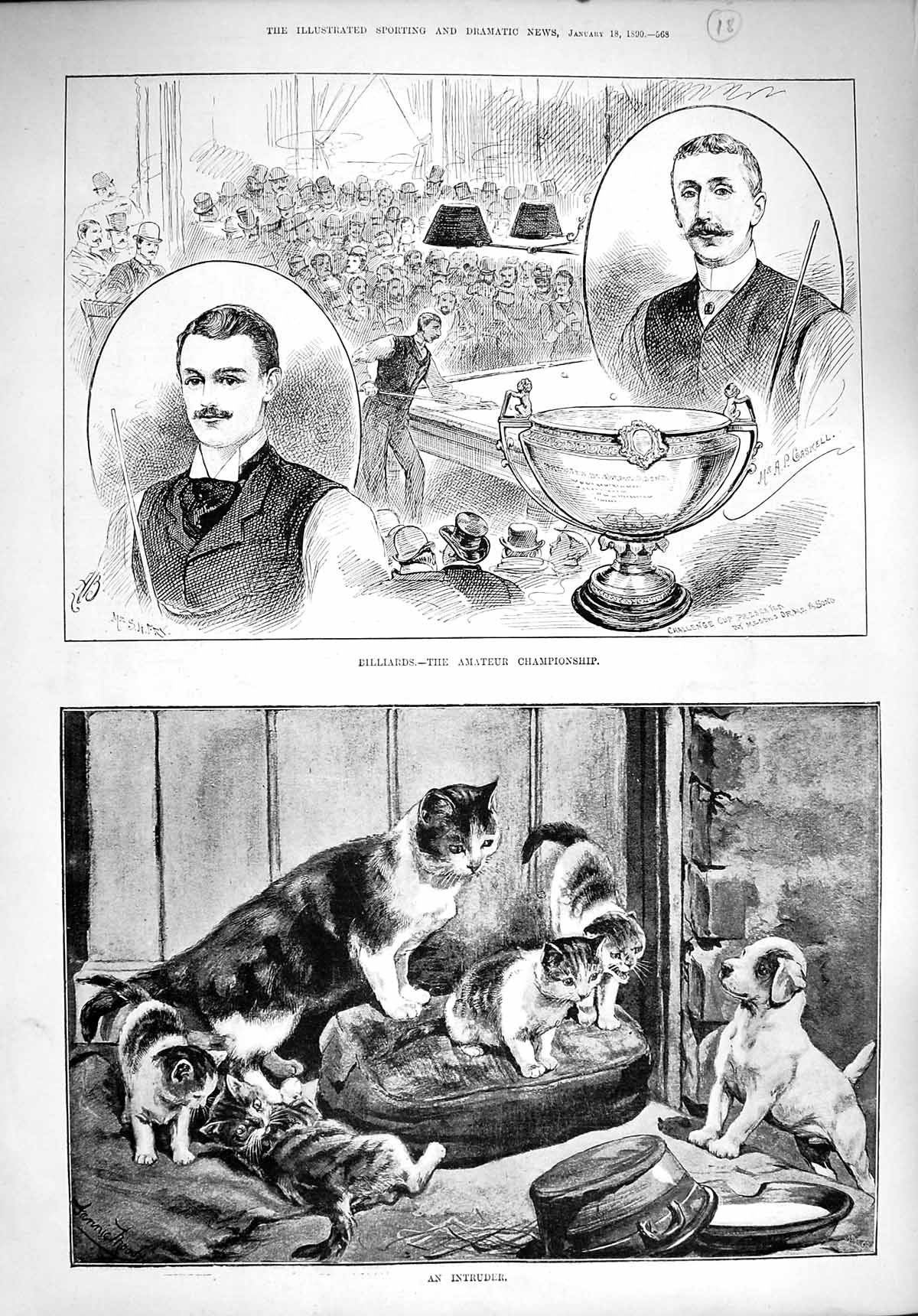 Original Old Antique Print 1890 Billiards Championship Kitten Cat Puppy Dog