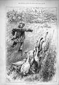 Original Old Antique Print 1890 Much Ado Nothing Scarecrow Geese Birds 19th
