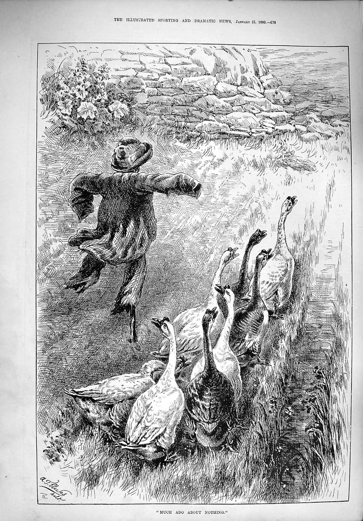 Original Old Antique Print 1890 Much Ado Nothing Scarecrow Geese Birds 19th